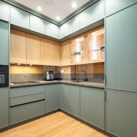 Apartamento Ezcurdia Elite 1a By Silastur Gijón